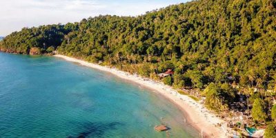 Aerial view of Beach and Trees